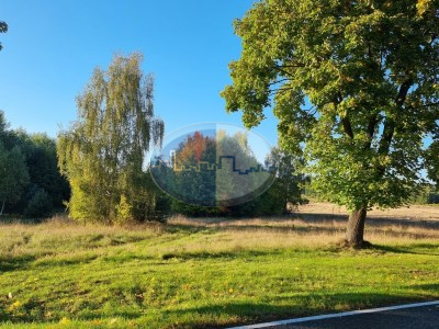 Działka na sprzedaż o pow. 13000 m2