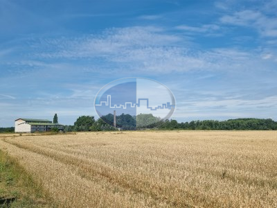 Działka na sprzedaż o pow. 20000 m2