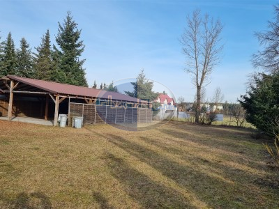 Obiekt komercyjny na sprzedaż o pow. 4750 m2 - Cybinka - 6 900 000,00 PLN