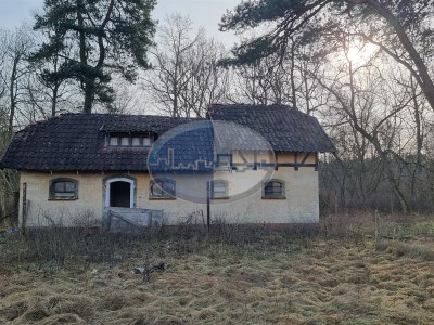 Dom na sprzedaż o pow. 800 m2 - Cybinka - 1 500 000,00 PLN