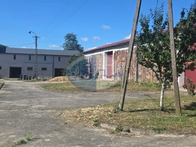 Obiekt komercyjny na sprzedaż o pow. 6269 m2 - Skąpe - 890 000,00 PLN