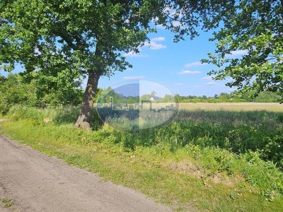Działka na sprzedaż o pow. 3032 m2 - Zielona Góra - 299 000,00 PLN