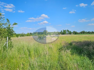 Działka na sprzedaż o pow. 3032 m2 - Zielona Góra - 299 000,00 PLN