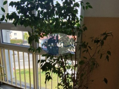 Mieszkanie na sprzedaż o pow. 58 m2 - Zielona Góra - 379 000,00 PLN