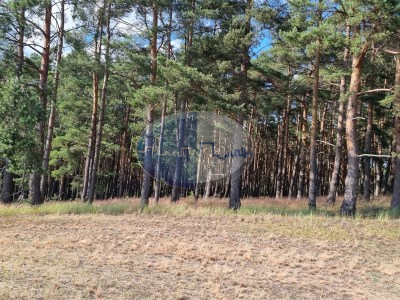 Działka na sprzedaż o pow. 5700 m2 - Zabór - 186 000,00 PLN