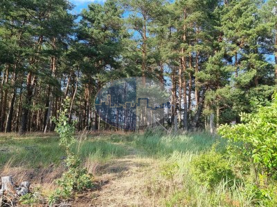 Działka na sprzedaż o pow. 5700 m2 - Zabór - 186 000,00 PLN