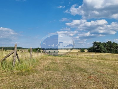 Działka na sprzedaż o pow. 5700 m2 - Zabór - 186 000,00 PLN