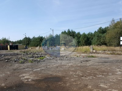 Działka na sprzedaż o pow. 82000 m2 - Gubin - 13 920 000,00 PLN