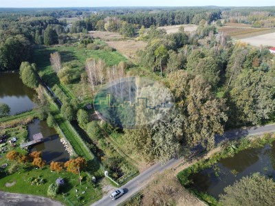 Działka na sprzedaż o pow. 20162 m2 - Dąbie - 336 000,00 PLN