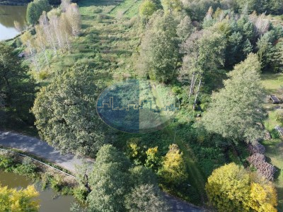 Działka na sprzedaż o pow. 20162 m2 - Dąbie - 336 000,00 PLN