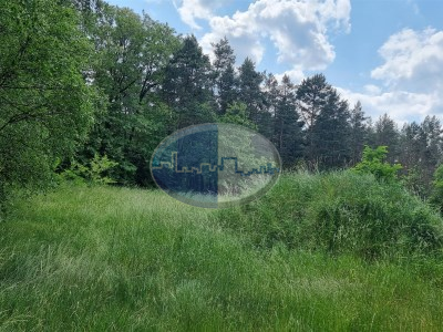 Działka na sprzedaż o pow. 2802 m2 - Świdnica - 559 000,00 PLN