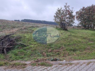 Działka na sprzedaż o pow. 25000 m2 - Zabór - 7 700 000,00 PLN