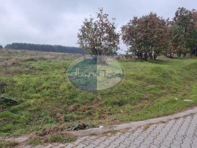 Działka na sprzedaż o pow. 25000 m2 - Zabór - 7 700 000,00 PLN