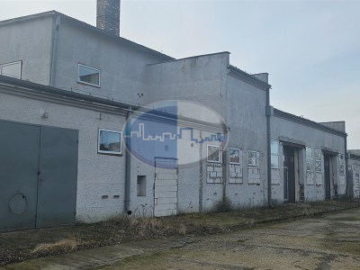 Obiekt komercyjny na sprzedaż o pow. 1430 m2 - Sulechów - 4 500 000,00 PLN