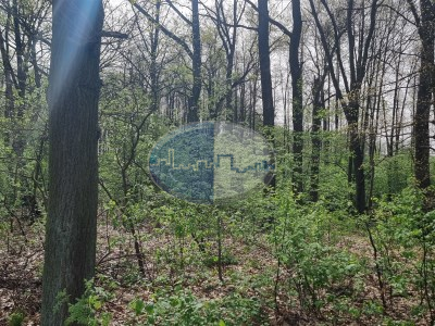 Nieruchomości Zielona Góra - Działka na sprzedaż o pow. 1999 m2