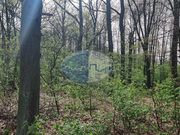 Działka na sprzedaż o pow. 1999 m2