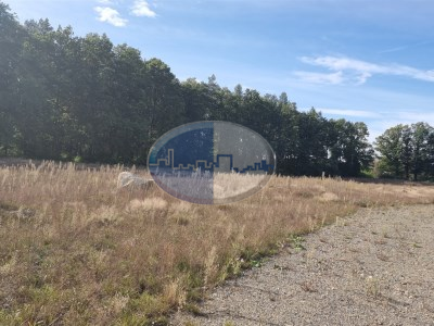 Działka na sprzedaż o pow. 3100 m2