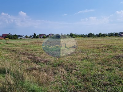 Działka na sprzedaż o pow. 15557 m2 - Gubin (gw) - 389 000,00 PLN