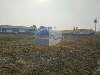 Nieruchomości Zielona Góra - Działka na sprzedaż o pow. 10000 m2