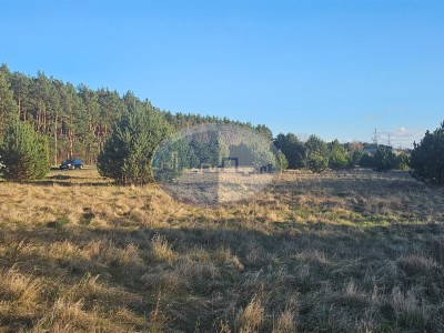 Działka na sprzedaż o pow. 10000 m2 - Nowa Sól (gm) - 1 890 000,00 PLN