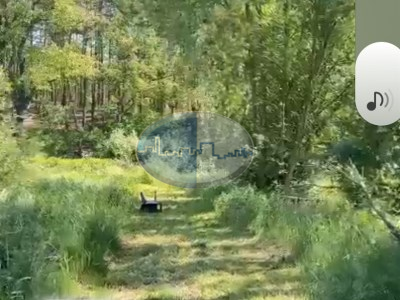 Działka na sprzedaż o pow. 19000 m2 - Gubin - 400 000,00 PLN