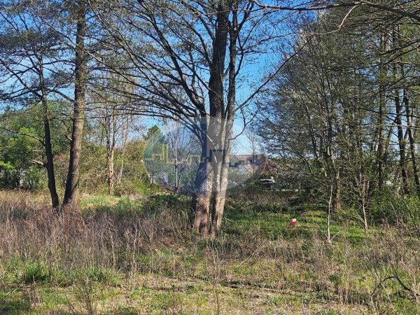 Działka na sprzedaż o pow. 1665 m2