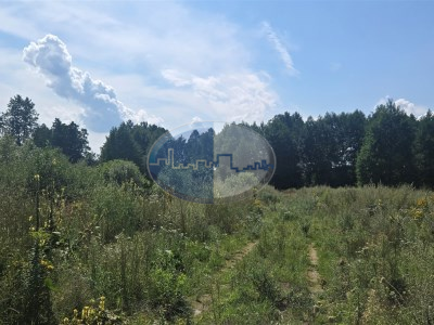 Nieruchomości Zielona Góra - Działka na sprzedaż o pow. 1200 m2