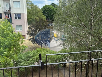 Mieszkanie na sprzedaż o pow. 48,50 m2 - Zielona Góra - 549 000,00 PLN