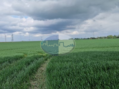 Działka na sprzedaż o pow. 190000 m2 - Strzelce Krajeńskie - 19 500 000,00 PLN
