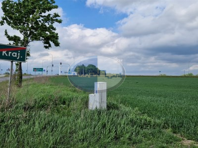 Nieruchomości Zielona Góra - Działka na sprzedaż o pow. 190000 m2