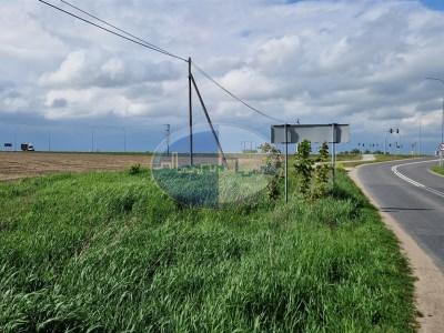 Działka na sprzedaż o pow. 190000 m2 - Strzelce Krajeńskie - 19 500 000,00 PLN