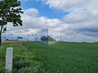 Działka na sprzedaż o pow. 190000 m2 - Strzelce Krajeńskie - 19 500 000,00 PLN